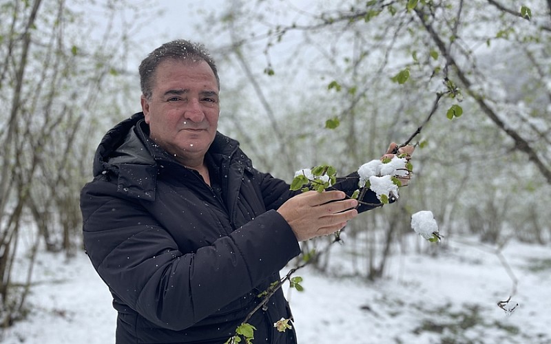 Fındık ihracatı 419 milyon doları geçti Fındık ihracatı 419 milyon doları geçti