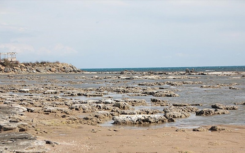 Marmara Denizi'nde müsilaj tehlikesi devam ediyor Marmara Denizi'nde müsilaj tehlikesi devam ediyor