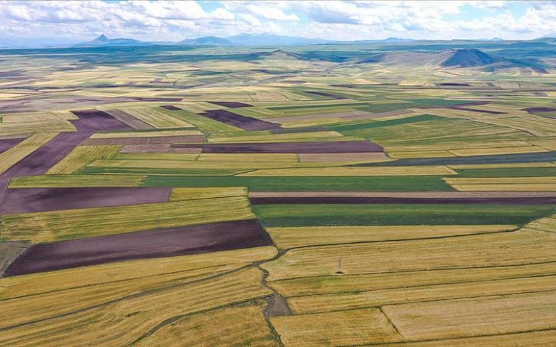 Edirne'de buğday tarlasında çıkan yangın söndürüldü Edirne'de buğday tarlasında çıkan yangın söndürüldü
