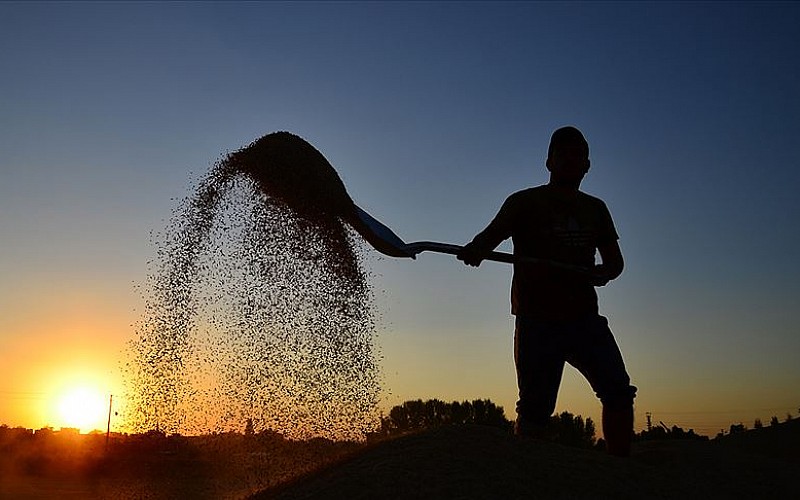Çiftçilere 251,3 milyon lira destek ödemesi bugün yapılacak Çiftçilere 251,3 milyon lira destek ödemesi bugün yapılacak
