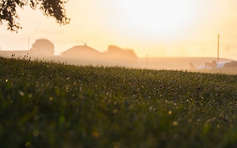 TARSİM'den çiftçilerin maliyetine destek TARSİM'den çiftçilerin maliyetine destek