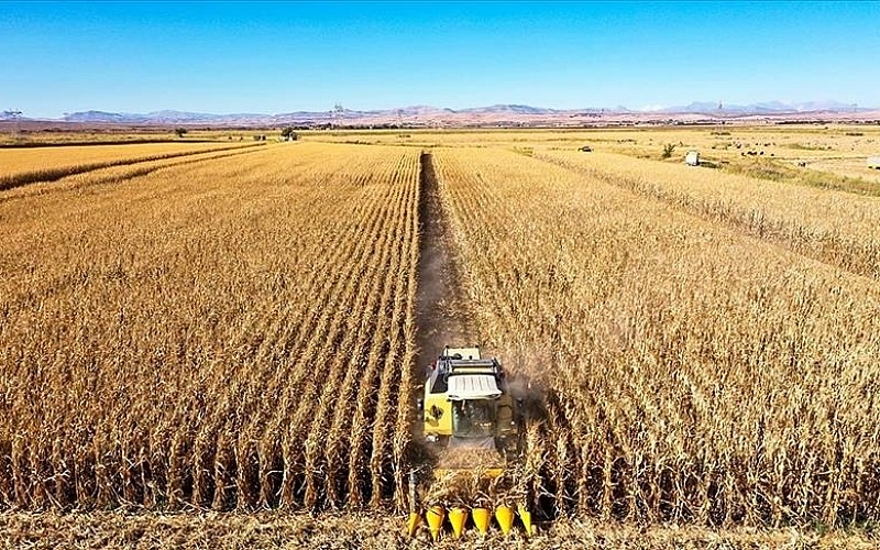 Tarımsal destekleme ödemeleri hesaplara aktarılıyor Tarımsal destekleme ödemeleri hesaplara aktarılıyor